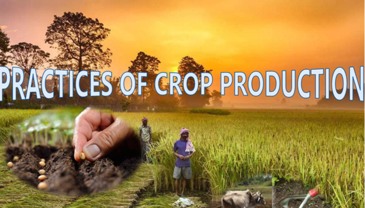 Practices of Crop Production BSAE 1-A