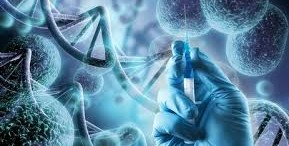 Bio 214 Adv Cell & Molecular Biology 2024