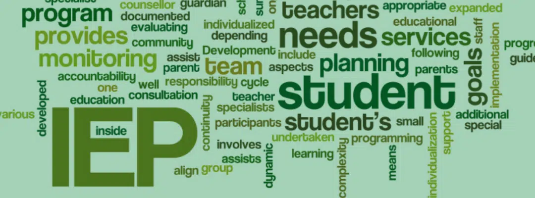 Development of Individualized Education  Plans  (BSNEd 3)