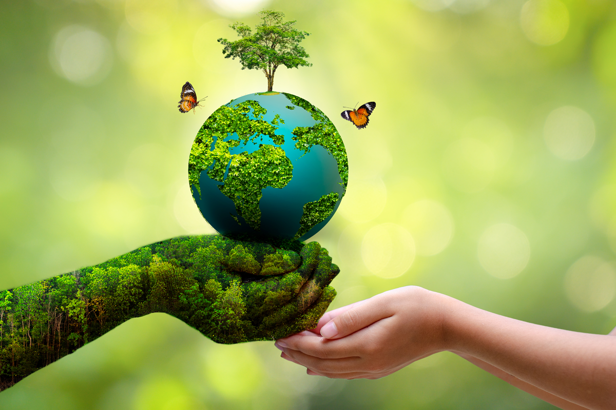 2nd_2023-2024_EGE 313_ENVIRONMENTAL SCIENCE_3D3