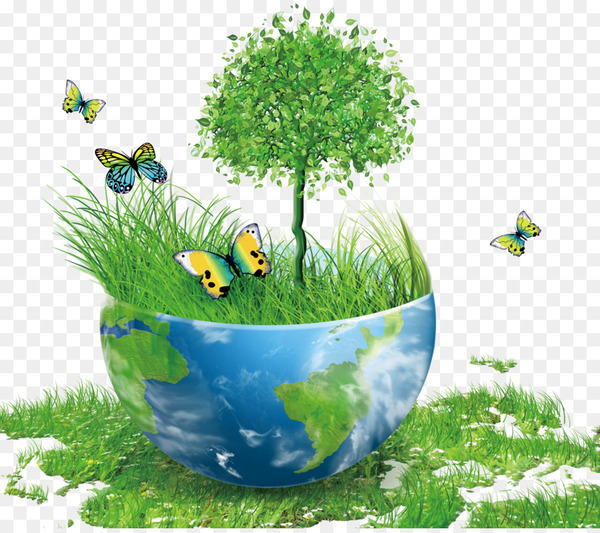 2nd_2023-2024_EGE 313_ENVIRONMENTAL SCIENCE_3SM
