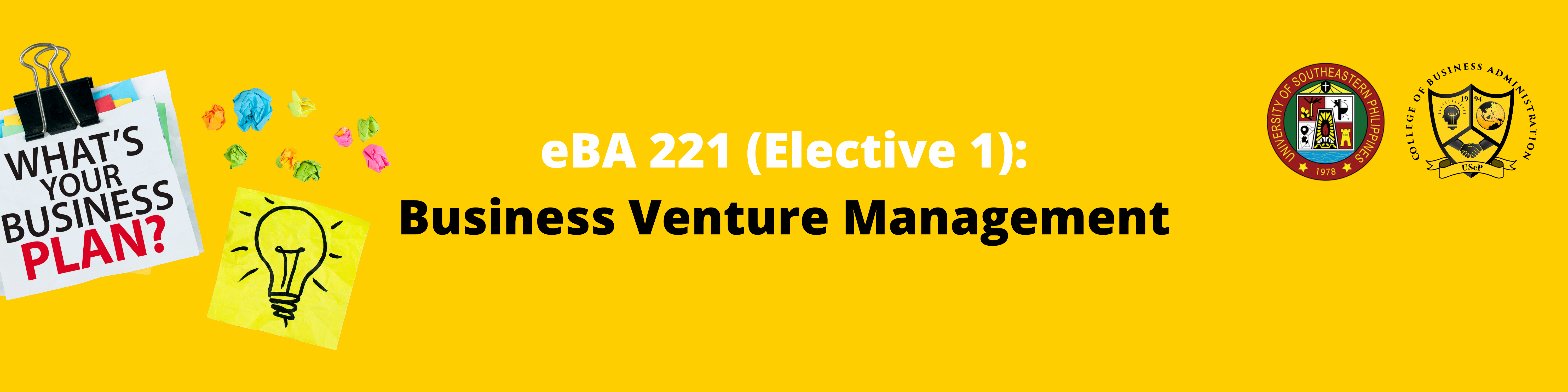 E-BA 221 Elective 1
