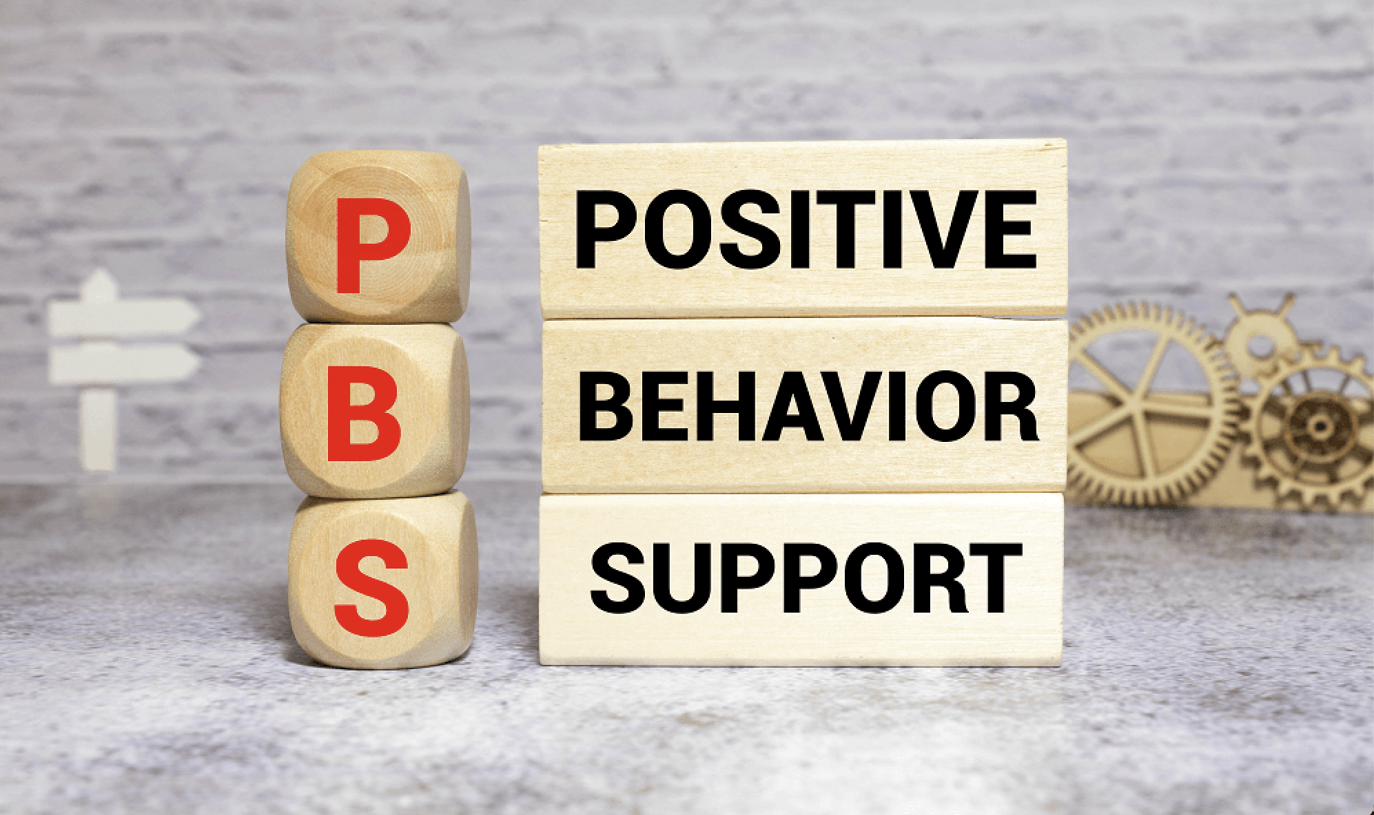 Behavior Management and Modification (BSNEd 2)