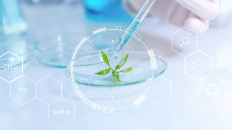 2023-2024-2ND SEM-Crop Prot 122 Approaches and Practices in Pest Management-1a3