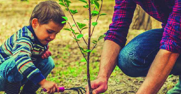 ECEd Elective 2 Environmental Education